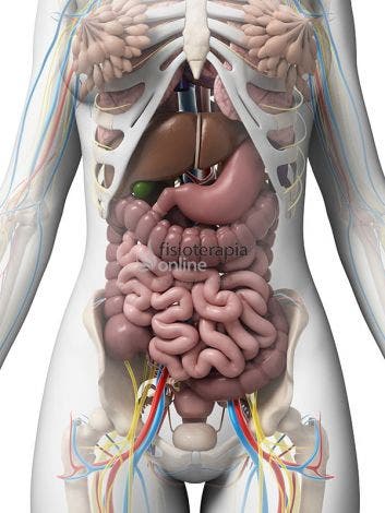 Las emociones repercuten sobre nuestra salud (3ª parte): Ansiedad