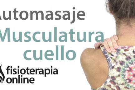 Los ejercicios a la osteocondrosis del vídeo la parte 2