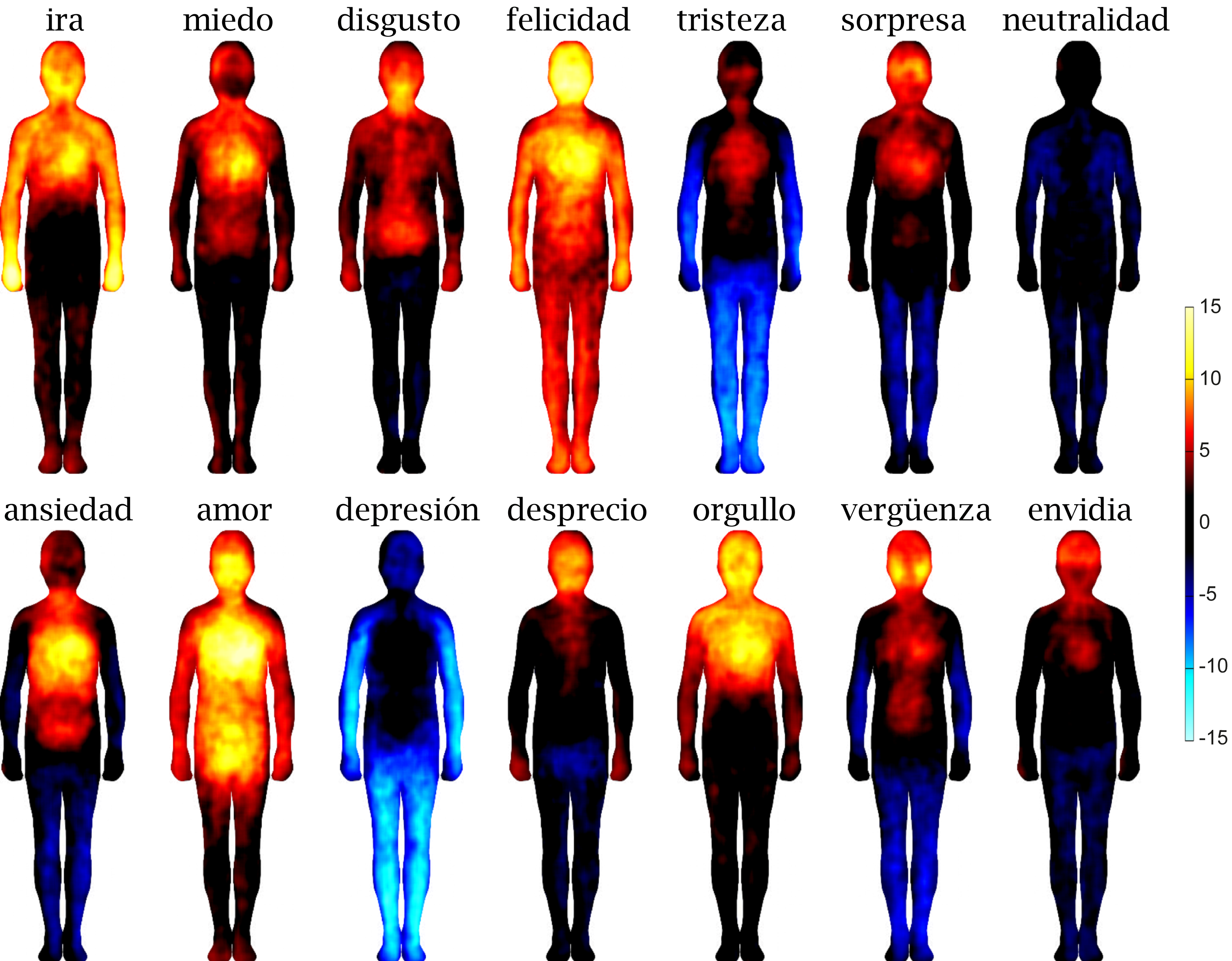 Lenguaje y etimología del cuerpo