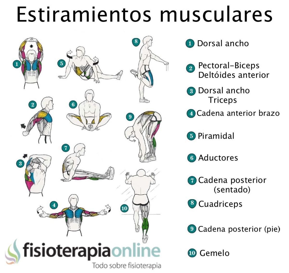 5 esenciales para realizar deporte en casa