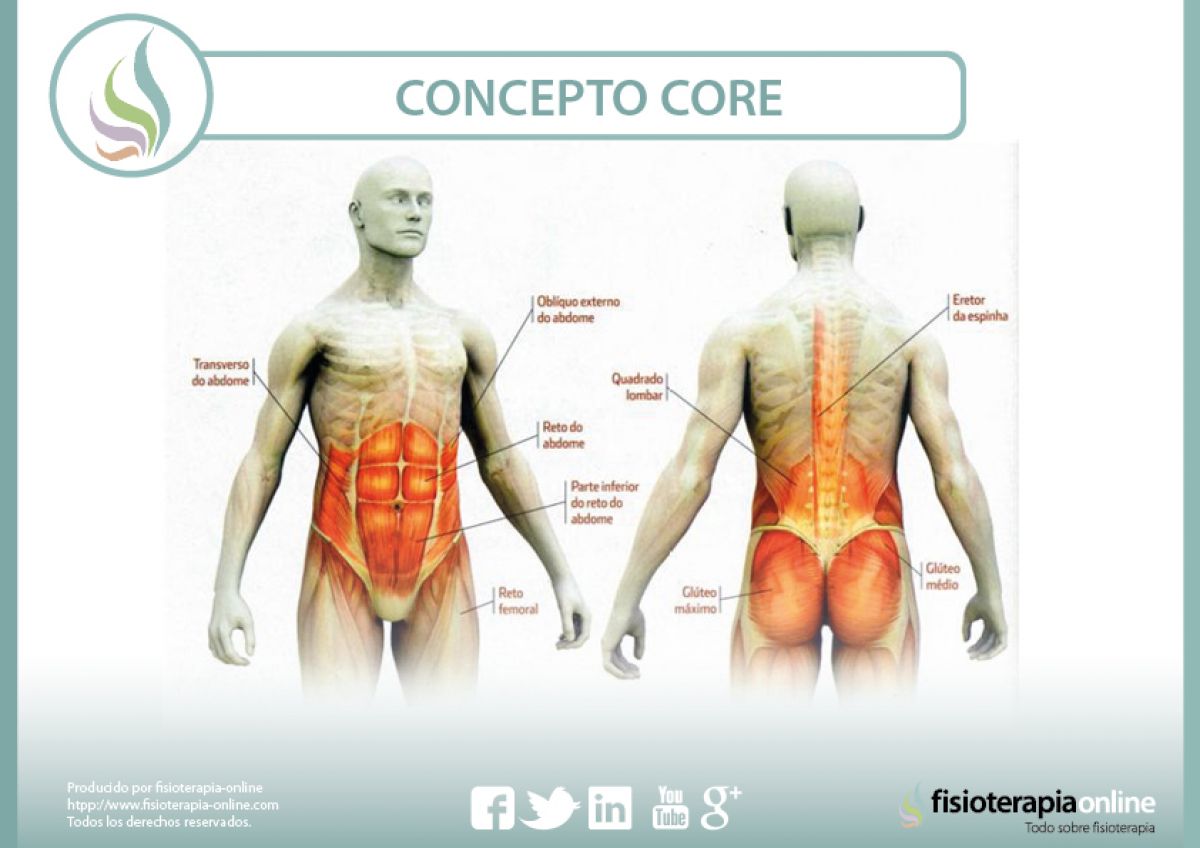Brillar Anfibio Respetuoso Concepto CORE. ¿Qué nos aporta?¿Cómo nos ayuda a fortalecer la musculatura  de la faja abdominal y estabilizadora lumbar? | FisioOnline