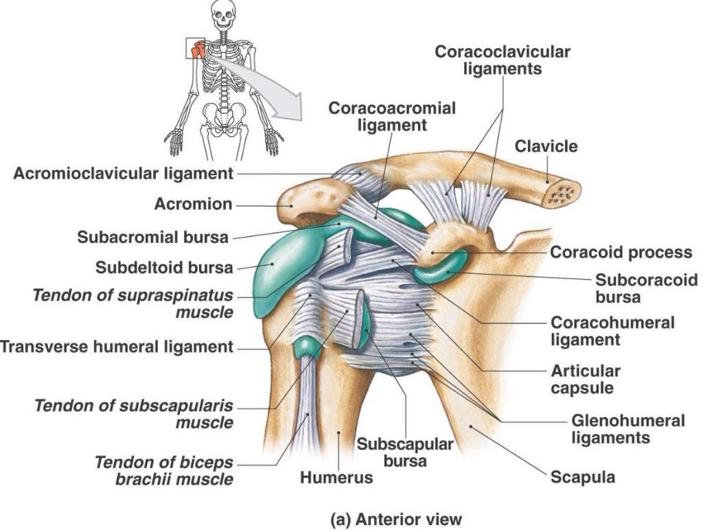 bursitis subdeltoidea