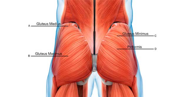 ejercicios ´para fortalecer los glúteos, prevenir y solucionar problemas y dolores 