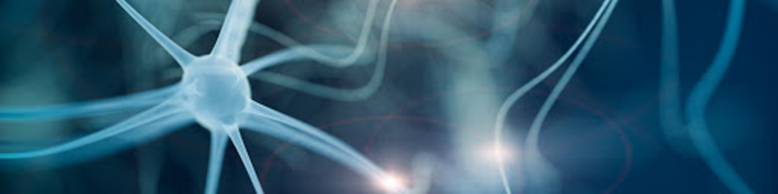 hormonas y neurotransmisores fisioonline