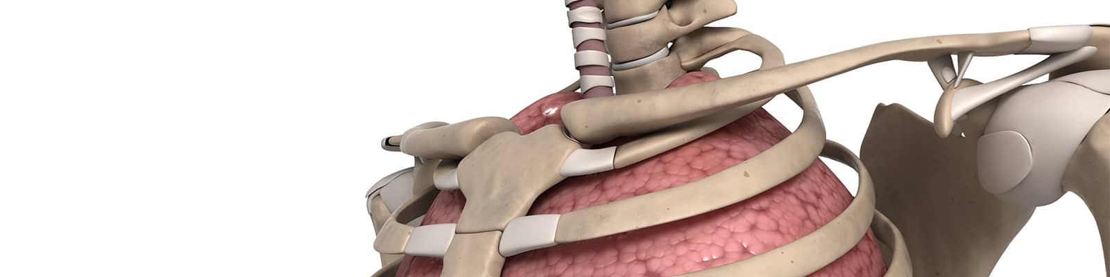 Cardiorespiratoria