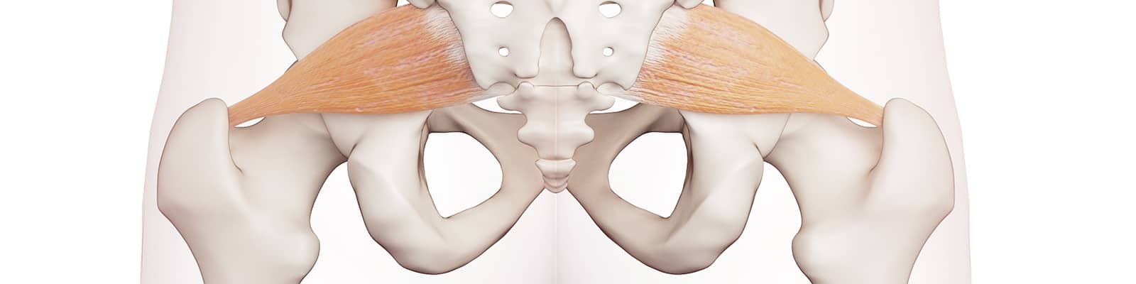 Osteopatía de pubis