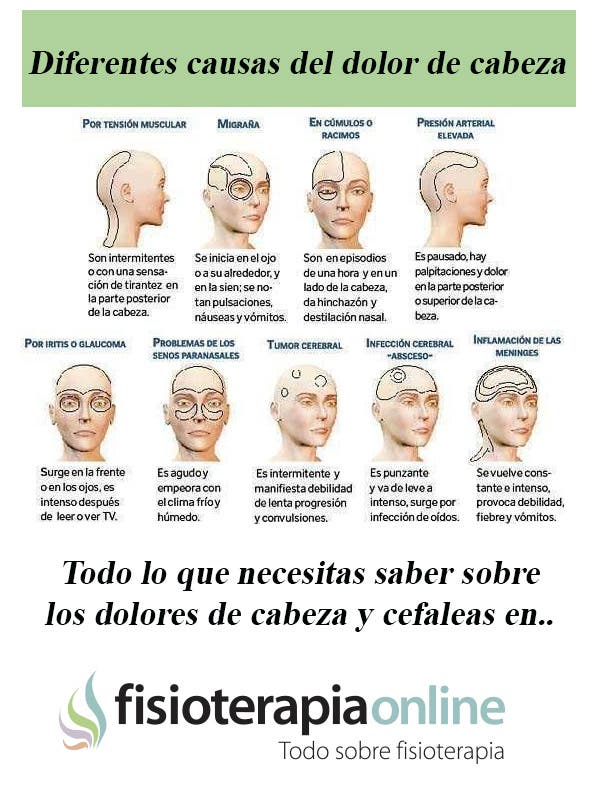 El cargador a los dolores en la espalda para la columna vertebral