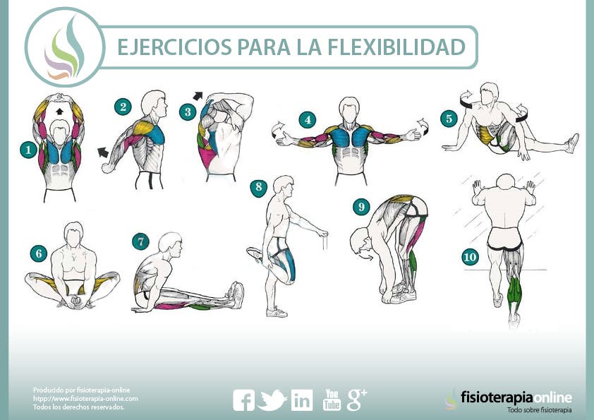 FLEXIBILIDAD para PRINCIPIANTES (6 Ejercicios Básicos) 🔥 Aumentar  Flexibilidad Principiantes 