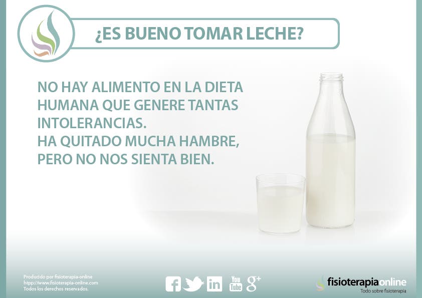 ¿Es bueno tomar leche? Te contamos por qué no | FisioOnline ¿Es bueno tomar leche? Te contamos por qué no | FisioOnline