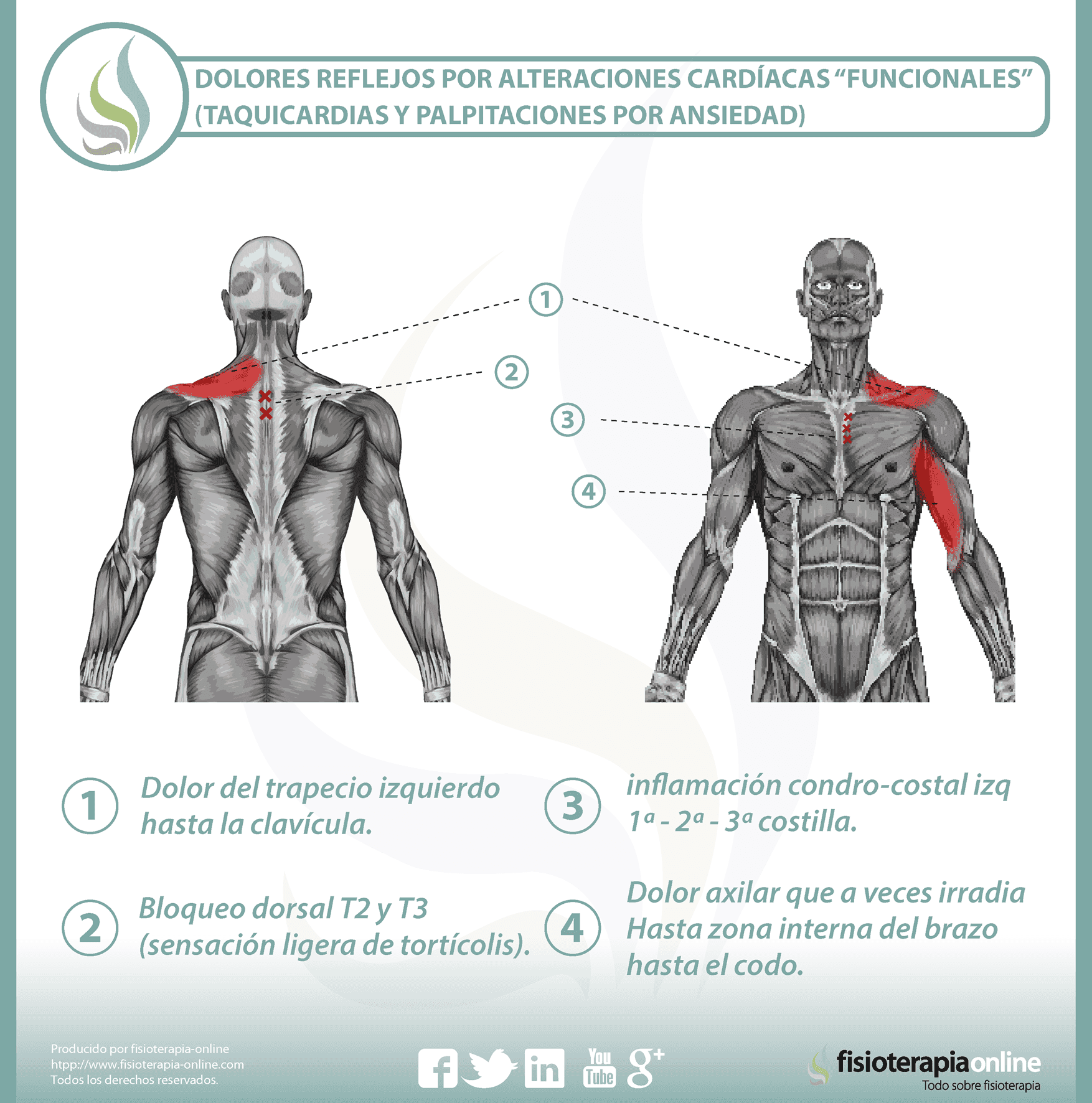 dolor muscular en axila y espalda
