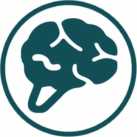 Sistema Nervioso Central