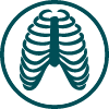 Torax Respiración