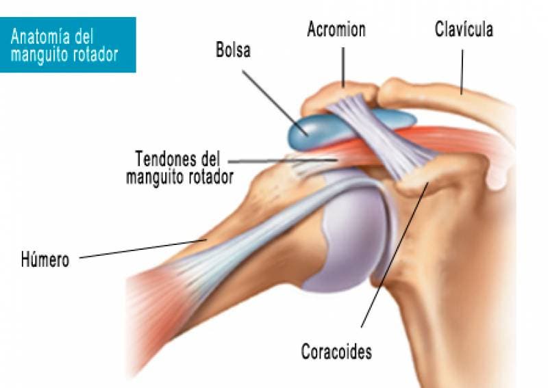 diagnóstico de la tendinitis del Manguito Rotador 