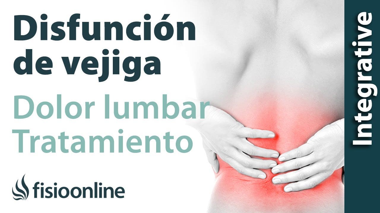 https://www.fisioterapia-online.com/sites/default/files/media-youtube/0LFELSlTqUI.jpg