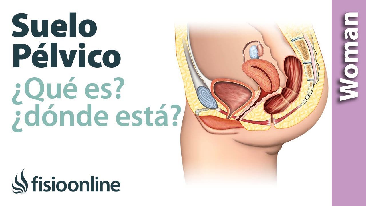 Qué es el suelo pélvico y dónde está?