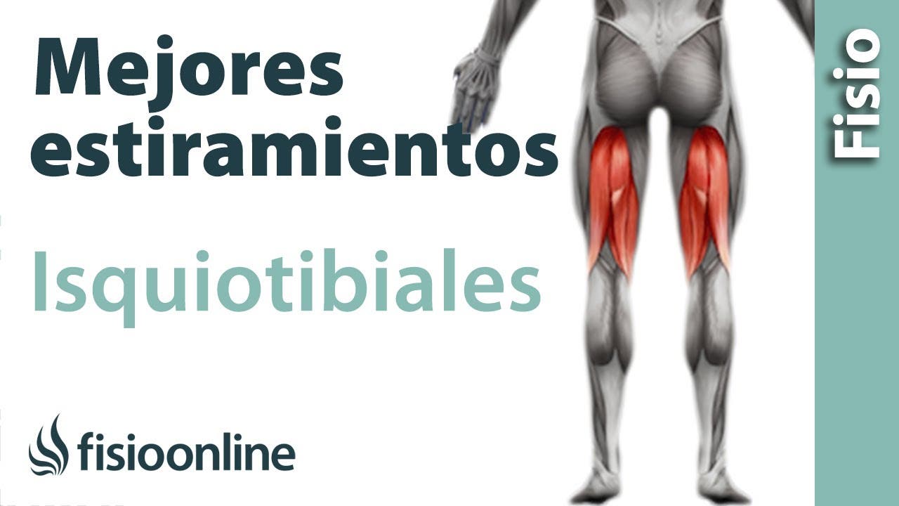 Formas Distintas De Estirar Los Isquiotibiales Y Cadena Muscular