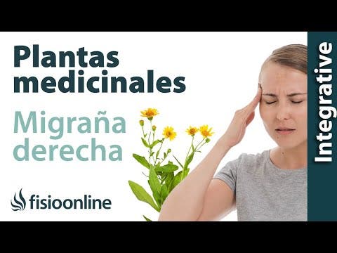 Cefalea, migraña o dolores de cabeza derechos. Plantas medicinales y  remedios naturales | FisioOnline