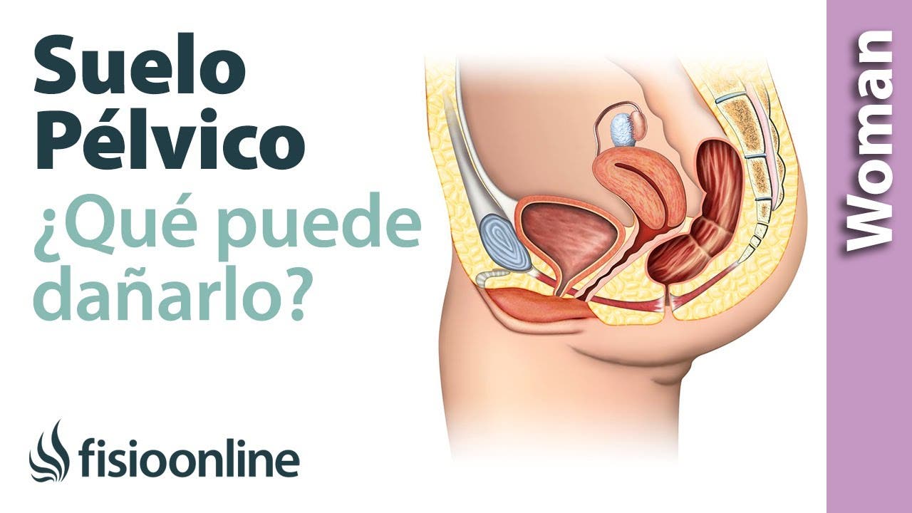 Unidades de Suelo Pélvico, qué son y cuándo acudir – Tampsec