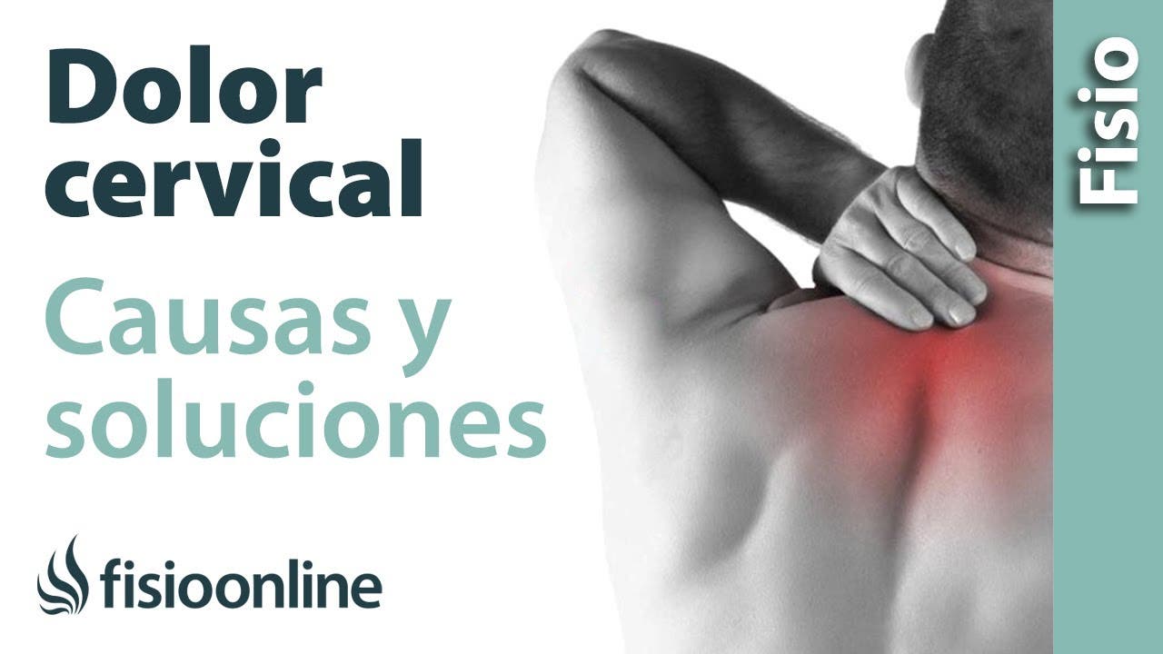 Dolor cervical: que és, causas y estiramientos. Vital & Clinic