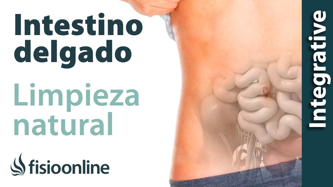 Que tomar para la inflamación intestinal