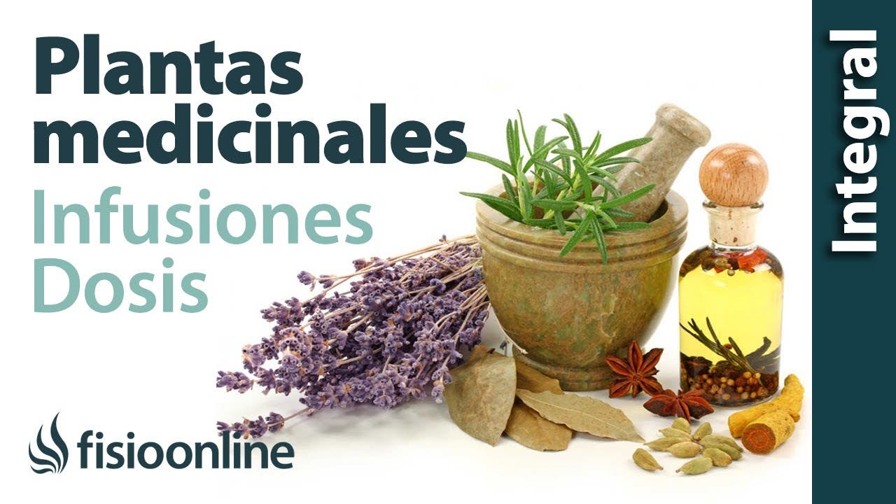 Las infusiones engordan