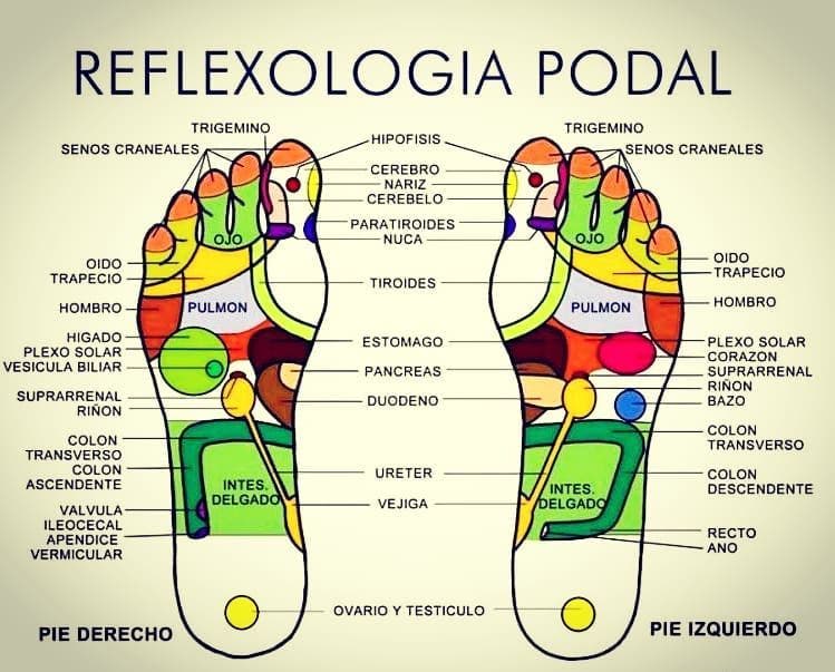 Reflexología Podal