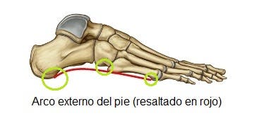 El pie, su estructura, sus arcos y los tipos de pies según estos arcos
