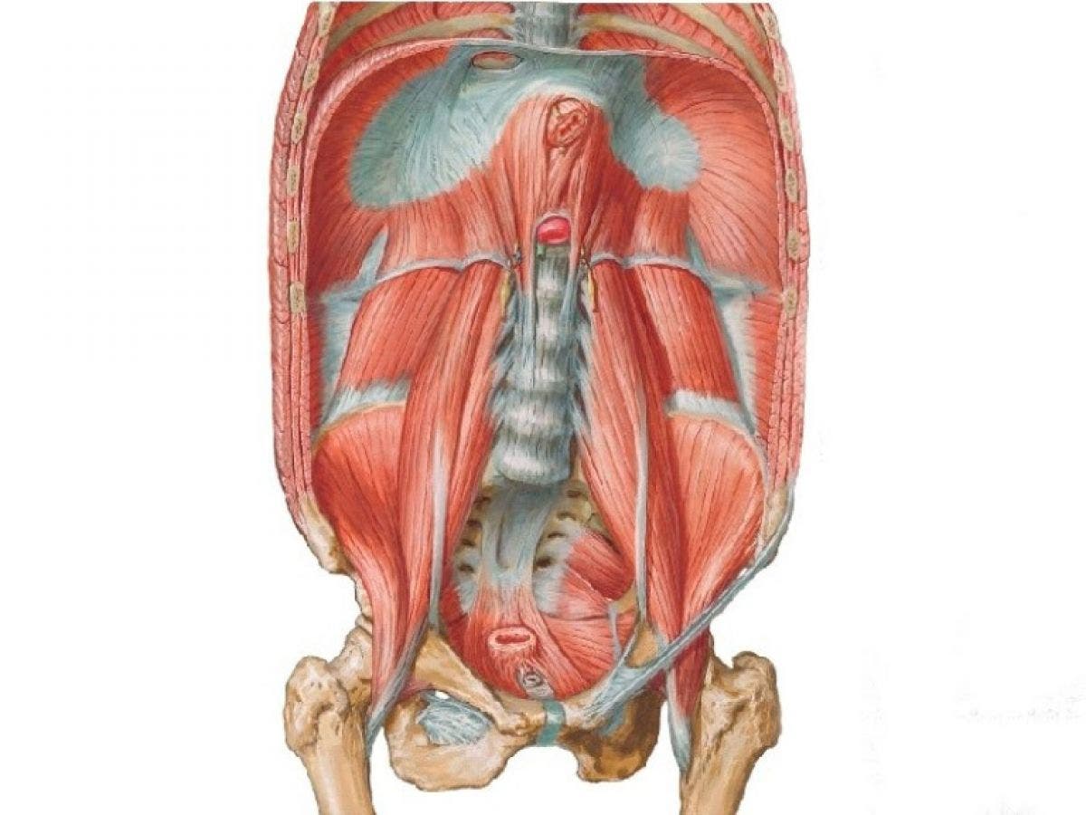 respiracion diafragmatica o abdominal ejercicios