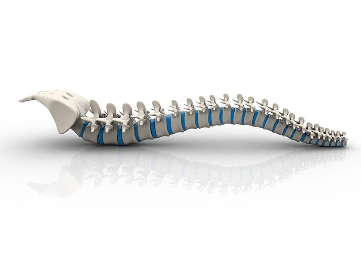 Estructura y funciones de la columna vertebral | FisioOnline