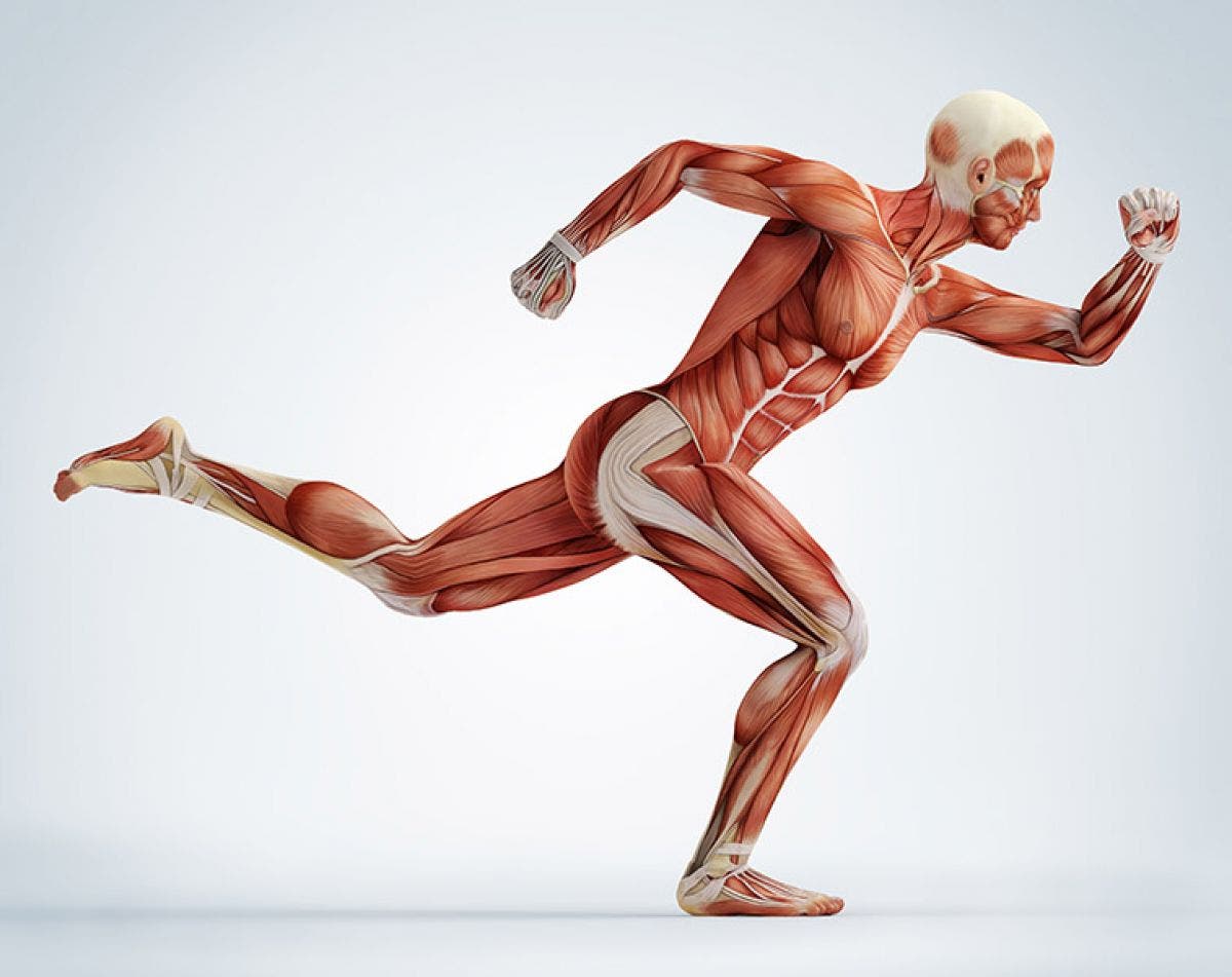 ¿Cómo puedo tratar la miopatía de forma natural?