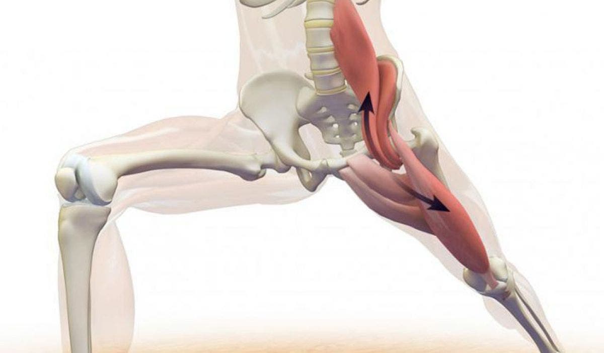 el musculo psoas iliaco realiza la accion de