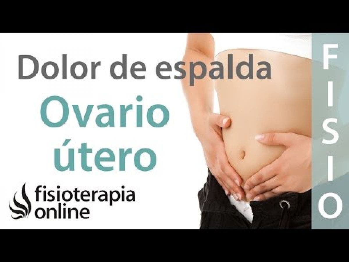 punto de activación del fisioterapeuta dolor pélvico florencia 2020 punto de activación del fisioterapeuta dolor pélvico florencia 2020
