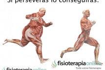 La perseverancia como factor fundamental del cambio. ¿Cómo fomentarla?