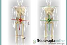 Equilibrio postural y disfunciones articulares o como las postura afecta a nuestro organismo