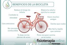 Las bicicletas son para todo el año