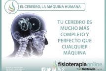 El cerebro, la máquina humana