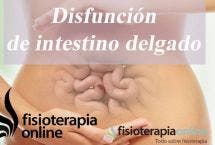 Disfunción de intestino delgado, o como el intestino puede influir en tu dolor de espalda