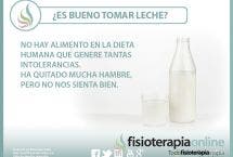 ¿Es bueno tomar leche? Te contamos por qué no