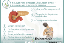  7 claves para entender la relación  entre el páncreas y el dolor de espalda