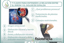 7 claves para entender la relación  entre el riñón y el dolor de espalda