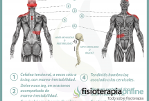 Relación entre vesícula y dolor de espalda