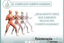 El complejo cuerpo humano