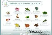 Plantas medicinales y antibióticos naturales