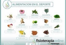 Plantas medicinales y antibióticos naturales