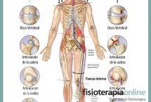 Los efectos de la gravedad sobre nuestro cuerpo y las articulaciones