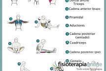 Ejercítate y estira, la mejor forma de evitar lesiones y mantenerte ágil