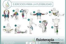 Ejercicios para mejorar tu flexibilidad y cuidar tu salud