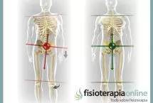 Equilibrio postural y disfunciones articulares o como las postura afecta a nuestro organismo