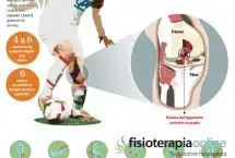 El castigo del futbolista, conoce todos los detalles sobre la lesión de ligamento cruzado de la rodilla 