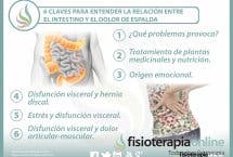  6 claves para entender la relación  entre el intestino  y el dolor de espalda